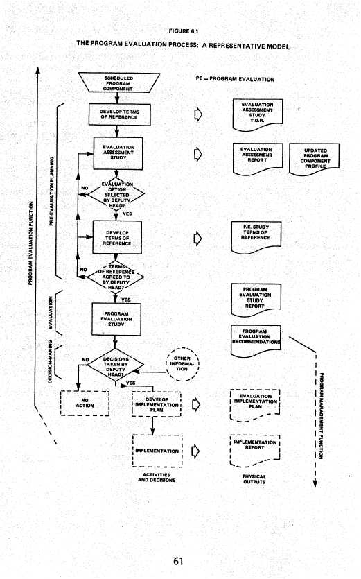 The Program Evalaution Process: A Representative Model
