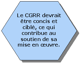 Hexagon: Le CGRR devrait être concis et ciblé, ce qui contribue au soutien de sa mise en œuvre.
