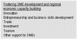 Text Box: Fostering SME development and regional economic capacity building: Innovation Entrepreneurship and business skills development Trade Investment Tourism Other support to SMEs 