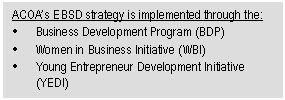 Text Box: ACOA’s EBSD strategy is implemented through the: • Business Development Program (BDP) • Women in Business Initiative (WBI) • Young Entrepreneur Development Initiative (YEDI) 