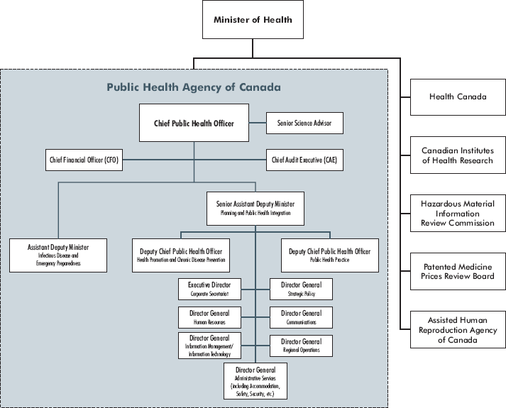 The Agency's Structure