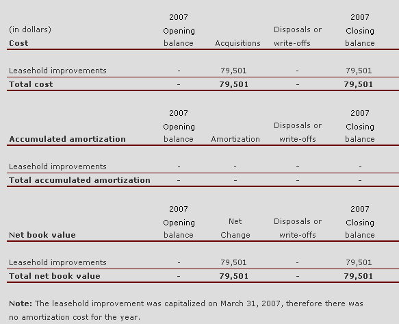 7. Tangible capital assets