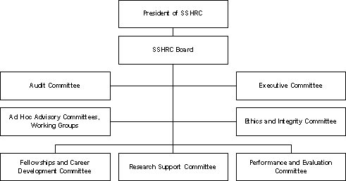 Governance and Committee Structure