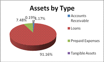 Assets by Type