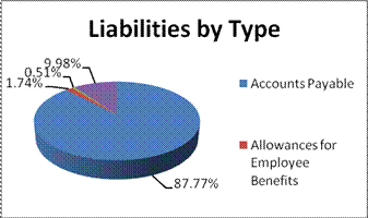 Liabilities by Type