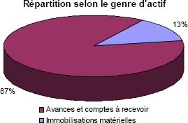 Rpartition selon le genre d'achat