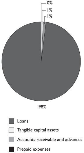 Assets are broken down into four items. The breakdown is as follows: (i) Loans (98%); (ii) Capital assets (1%); (iii) Accounts receivable and advances (1%); and (iv) Prepaid expenses (0%).