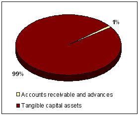 Figure 9 illustrates LAC financial assets by type
