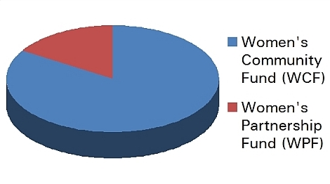This three-dimensional pie chart shows the balance of spending between the Women�s Community Fund (about five sixths) and the Women�s Partnership Fund (about one sixth).