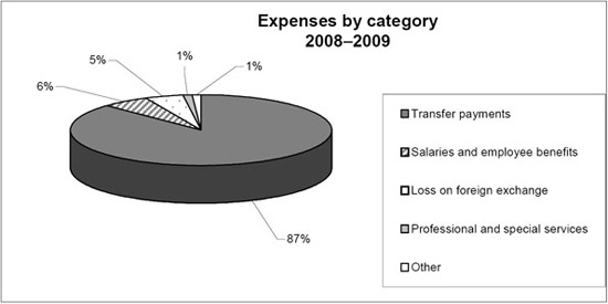 Expenses by category 2008-2009