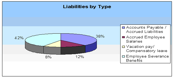 Liabilities by Type