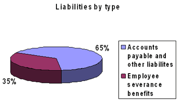 Liabilities by Type