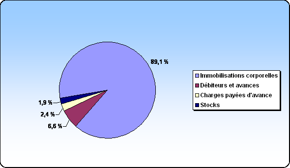 Figure 6 Cat�gories d�actifs