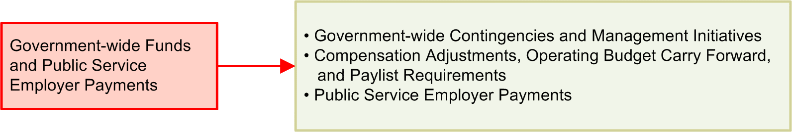 Government-wide Funds and Public Service Employer Payments