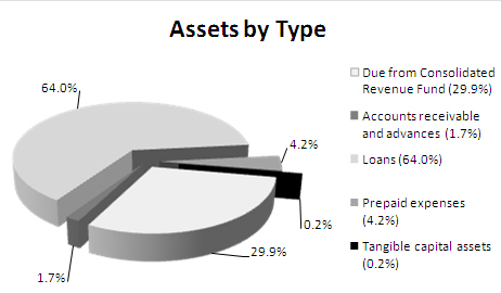 Pie chart illustrating the breakdown of the Atlantic Canada Opportunities Agency’s assets by type for fiscal year 2009-2010.