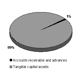 Figure showing LAC financial assets by type for 2009–2010