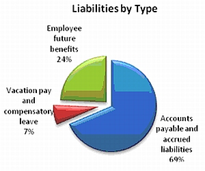 This pie chart shows the mix of liability types at SWC.