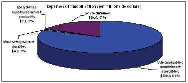 Dépenses en capital