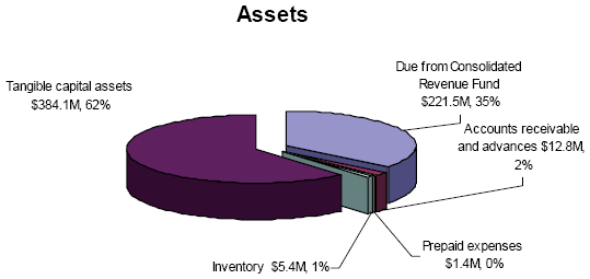 A pie chart that shows the Department's Assets for the fiscal year 2009-2010.