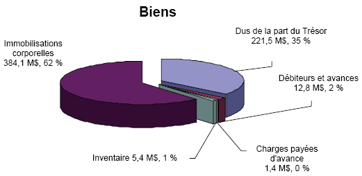 Un diagramme à secteurs présente les actifs du ministère pour l'exercice financier 2009–2010.