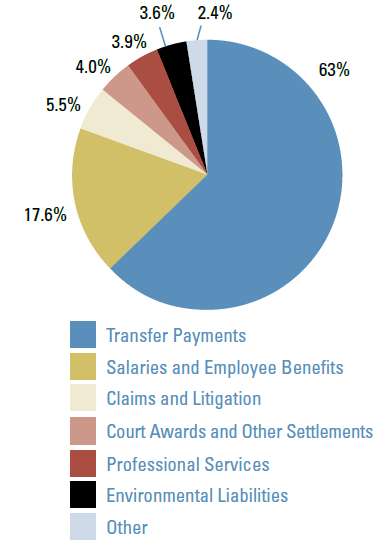 Expenses Pie Chart