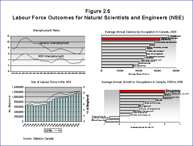 Bar Chart: Labour Force OUtcomes for Natural Scientists and Engineers (NSE)