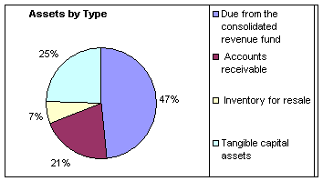 Financial Highlights Chart: Assets by Type