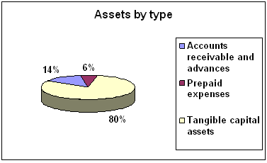 Assets by Type