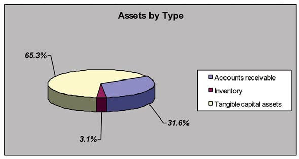 Assets by Type Graph