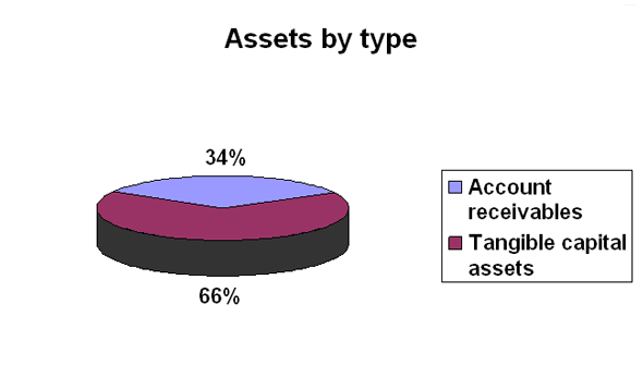 Assets by type