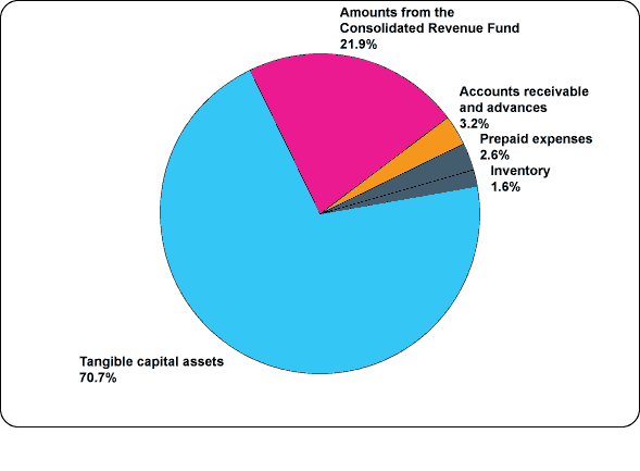 Figure 8 Assets by Type