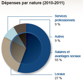 Dpenses par nature (2010-2011)