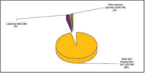 Revenues by Major Program Activity