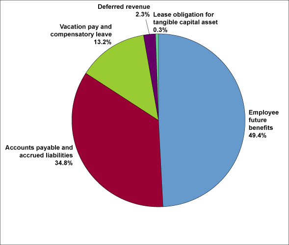 Figure 4 Liabilities by Type