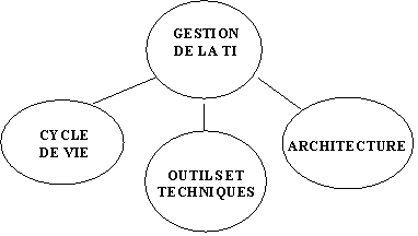 Figure 4. Sous-domaines de comptences en gestion de la TI