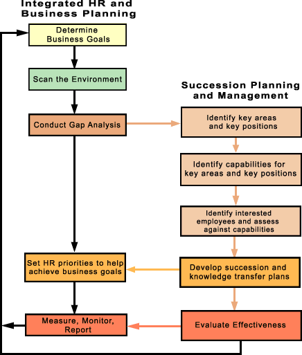 Link between the succession planning and management process and the integrated HR and business planning process