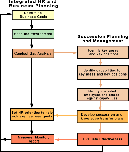 Figure 1: Link between the succession planning and management process and the integrated HR and business planning process