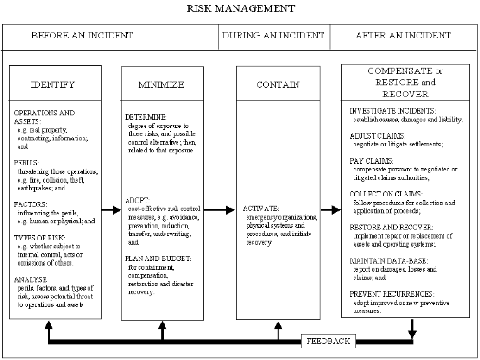 Graphic explaining the Risk management phases