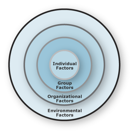 Image of embedded circles representing different risk management factors;
From innermost to outermost circle the factors are: Individual, Group, Organizational,
Environmental.