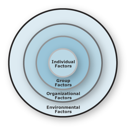 Image of embedded circles representing different risk management factors;
From innermost to outermost circle the factors are: Individual, Group, Organizational,
Environmental.