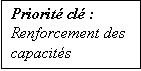 Text Box: Priorité clé : Renforcement des capacités