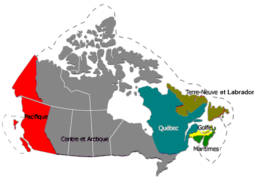 Organizational Information