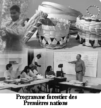 Programme forestier des Premières nations
