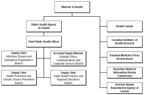 Organization Structure