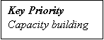 Text Box: Key Priority
Capacity building
