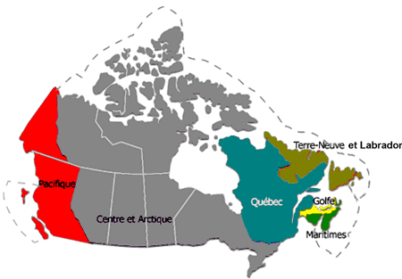 Organizational Information