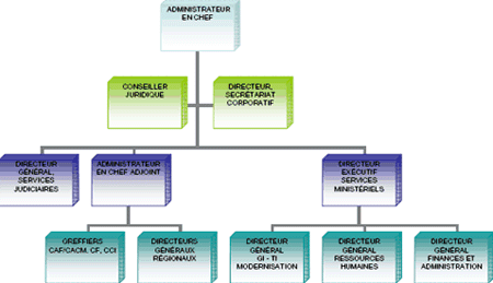 Organizational Structure