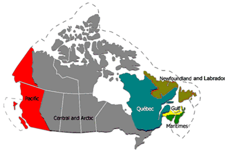 Organizational Information