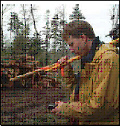 Picture of a lumberjack