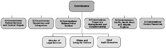 Management Structure